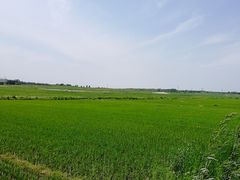 -北纬44度·金珠花海休闲农业旅游景区