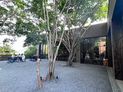 -来回·咖啡(钟村咖啡豆店)