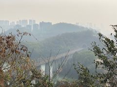 -阳台山森林公园