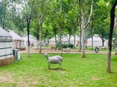 -九十九顶毡房(阜石路店)