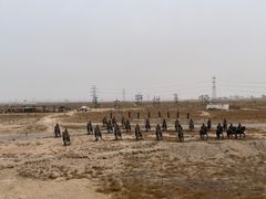 -水洞沟旅游区