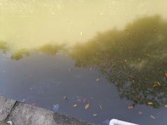 -中山市树木园