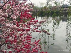 -无锡蠡湖国家湿地公园-蠡园
