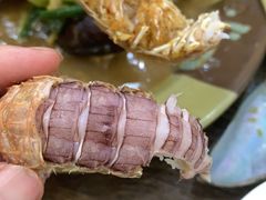 -贞姨美食·老字号海鲜大排档