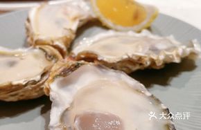 Fresh Icelandic Oyster