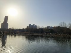 -前关湿地公园