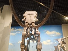 -国家自然博物馆