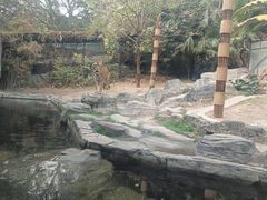 -深圳野生动物园