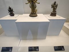 -甘肃省博物馆
