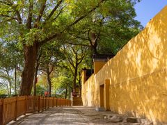 -灵岩山风景区