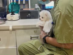-萌兽医馆·眼科·异宠专科(三里屯店)