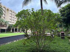 -白云中餐厅·粤菜·亚龙湾喜来登度假酒店