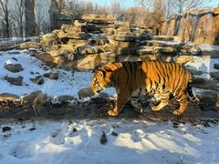 -北京野生动物园