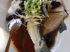 榄角蒸边鱼-天然居(伦教店)