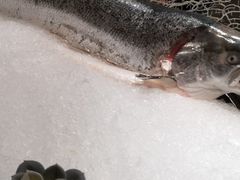 -V-ONE西雅图海鲜自助餐厅(仓山万达广场店)