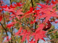 -广富林郊野公园