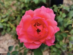 -北京园博大酒店