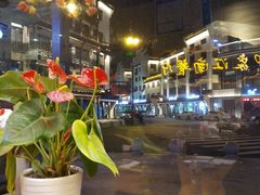 -印象江南(东栅店)