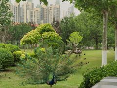 -天津市动物园