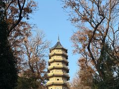 -灵谷景区