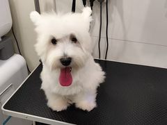 -它主义宠物(梁溪万达店)