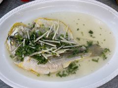 -外滩1288花园丽舍