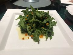 爽口冰菜-九十九顶毡房(阜石路店)