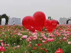 -汉江湾体育公园