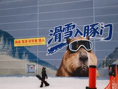 -广州热雪奇迹