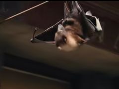 -博纳UA影城(KK Mall IMAX店)