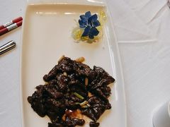 -新雅粤菜馆(南京东路店)