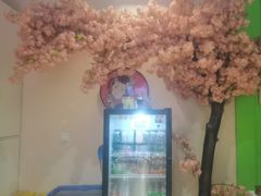 -Sakura·美颜社·日式私汤SPA