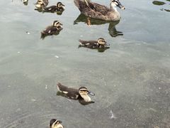 -海南热带野生动植物园
