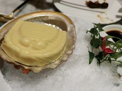 -蝶园·装修中(BFC外滩金融中心店)