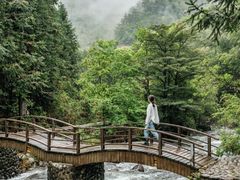 -金钉子远古世界景区