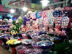 android_upload_pic-大自然花鸟鱼虫市场