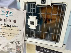 -萌兽医馆·宠物医院·猫骨科(创景店)