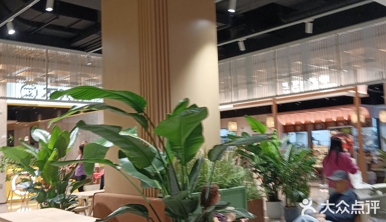 花木时光里的CUBIC3开业活动