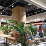 花木时光里的CUBIC3开业活动