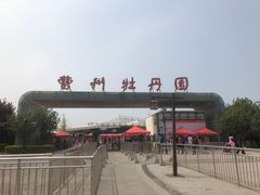 -曹州牡丹园