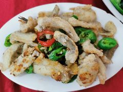 -蛇口康乐快餐鱼仔档(翠苑小区店)