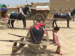 -镇北堡西部影城