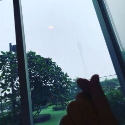 -蜜悦居月子中心(国金中心店)