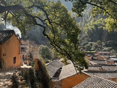 -杨家堂村