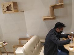 -藏猫猫咖啡主题馆(中央大道店)