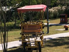 -上海长兴岛郊野公园