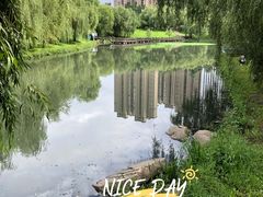 -长春公园(普阳街道)