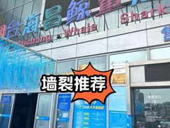 -烟台海昌鲸鲨海洋公园