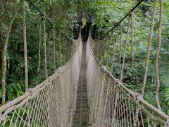 -西双版纳原始森林公园