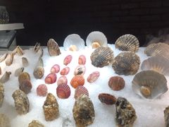 -粗茶淡饭·蒸鲜(光谷店)